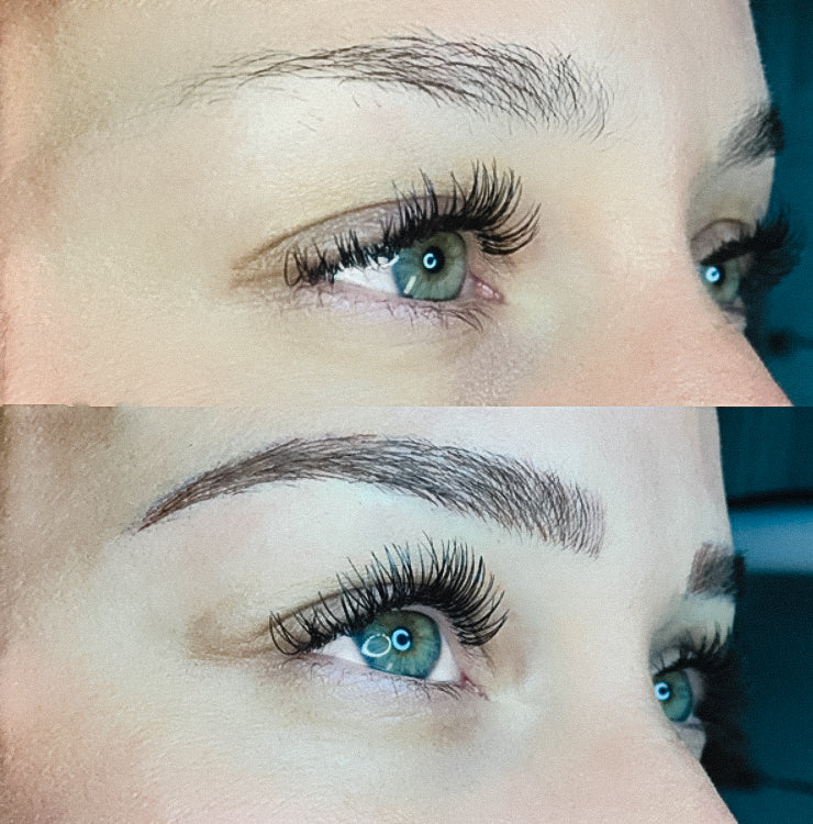 6 month Eyebrow Touchup $200