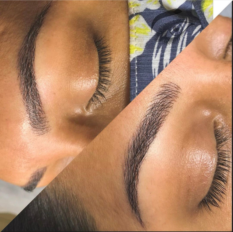 6 month Eyebrow Touchup $200