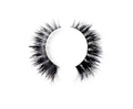 LLXO Mink Lashes